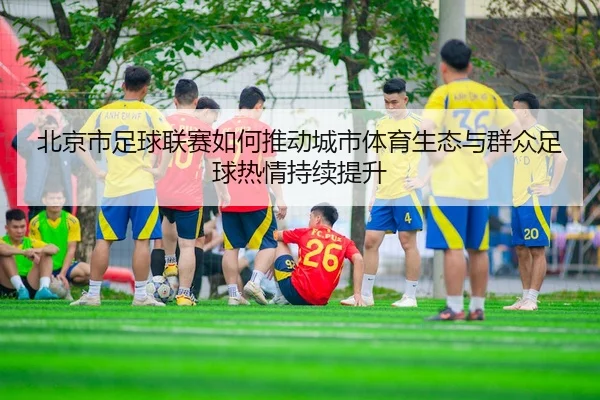 北京市足球联赛如何推动城市体育生态与群众足球热情持续提升 - 新闻资讯相关报道缩略图